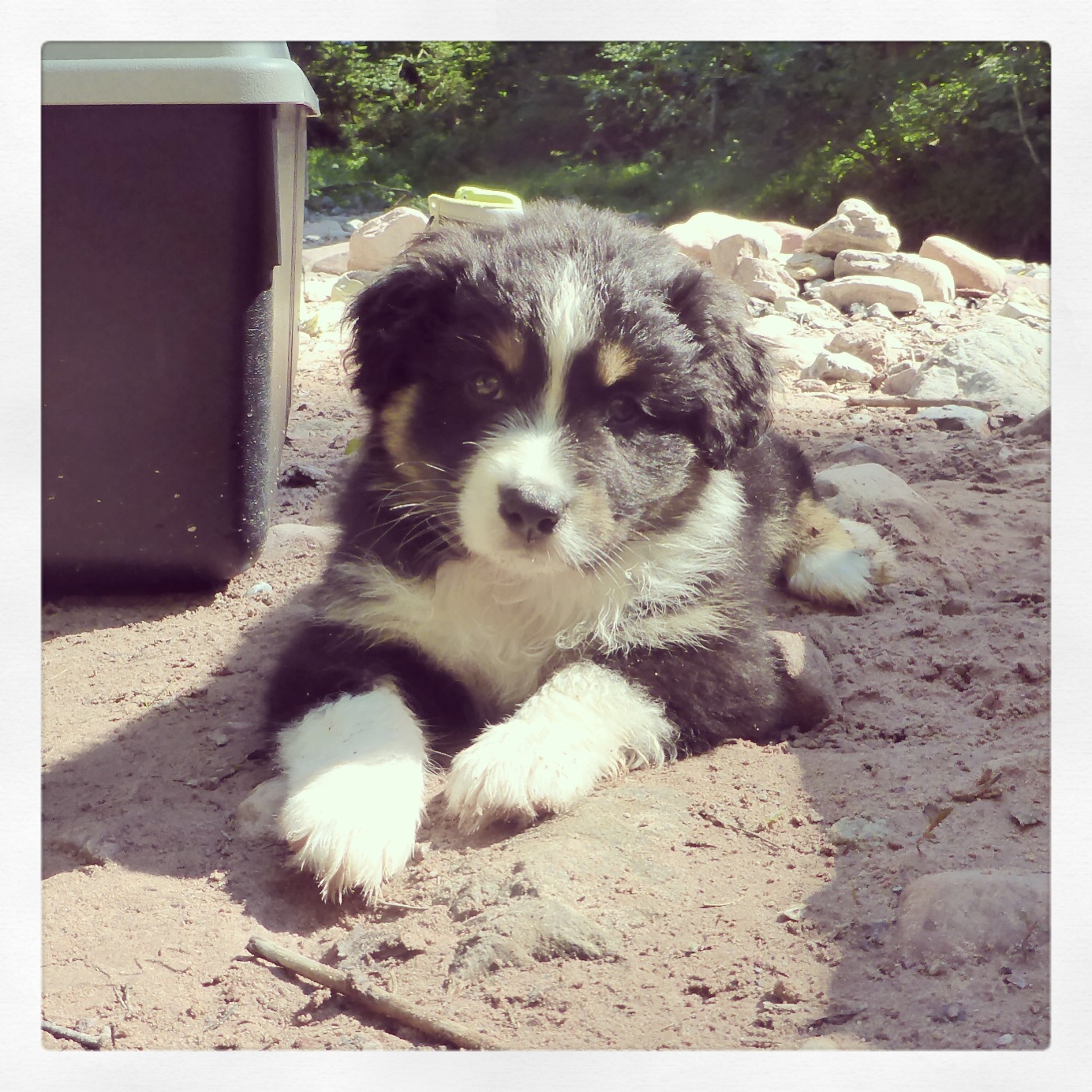 Skye