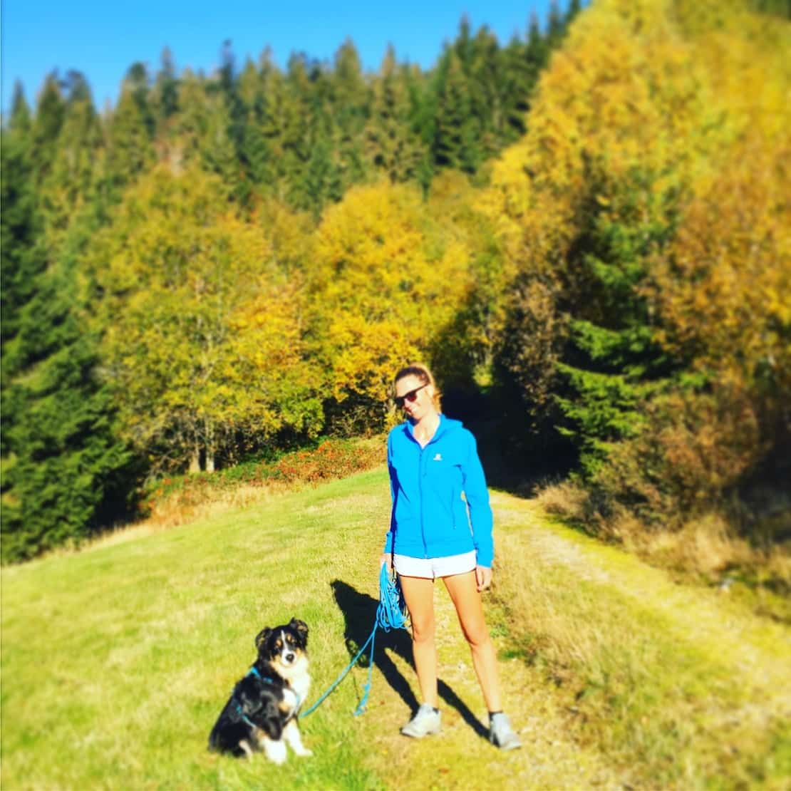Herbstwochenende im Böhmerwald – zwischen Erwartung und Wirklichkeit