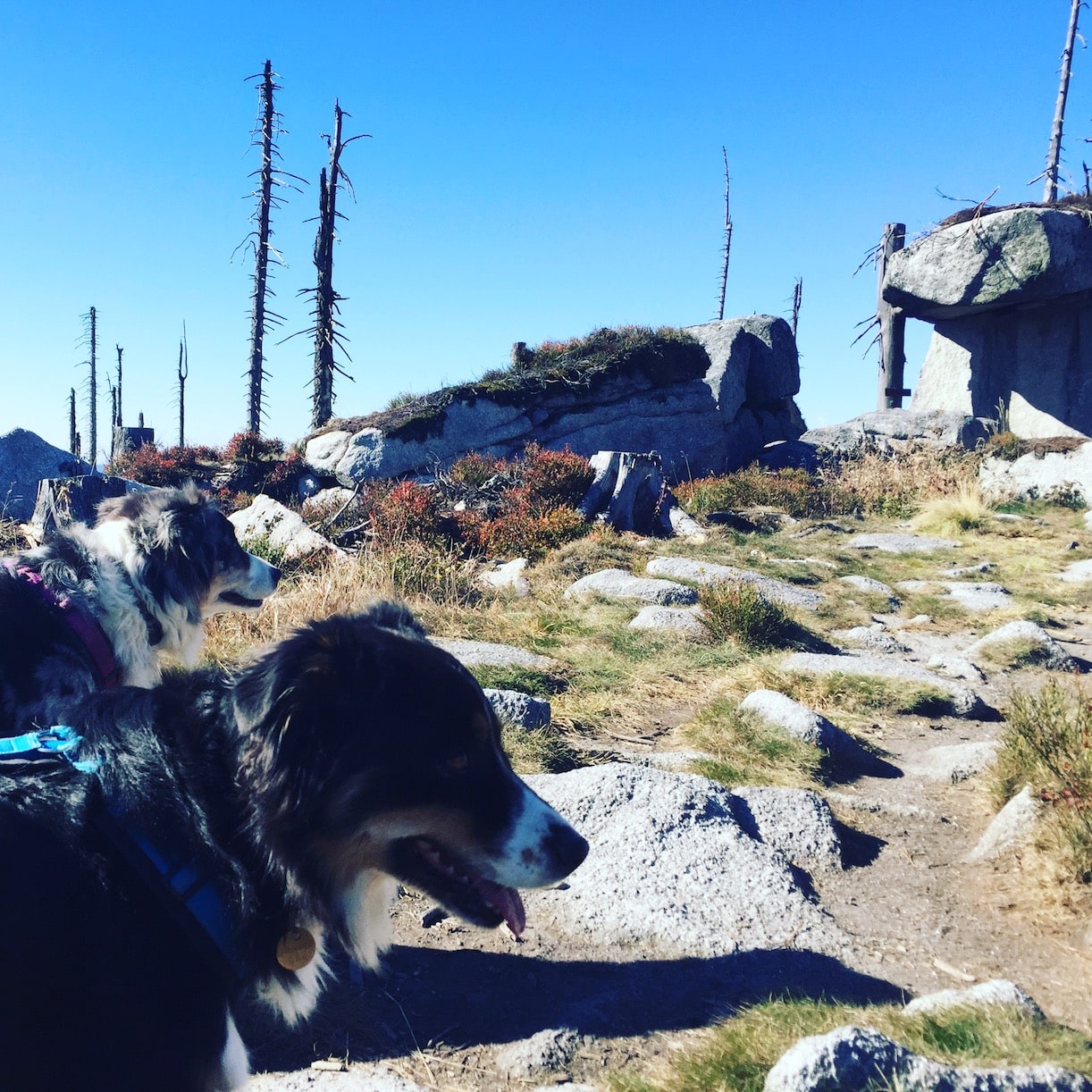 Herbstwochenende im Böhmerwald – zwischen Erwartung und Wirklichkeit