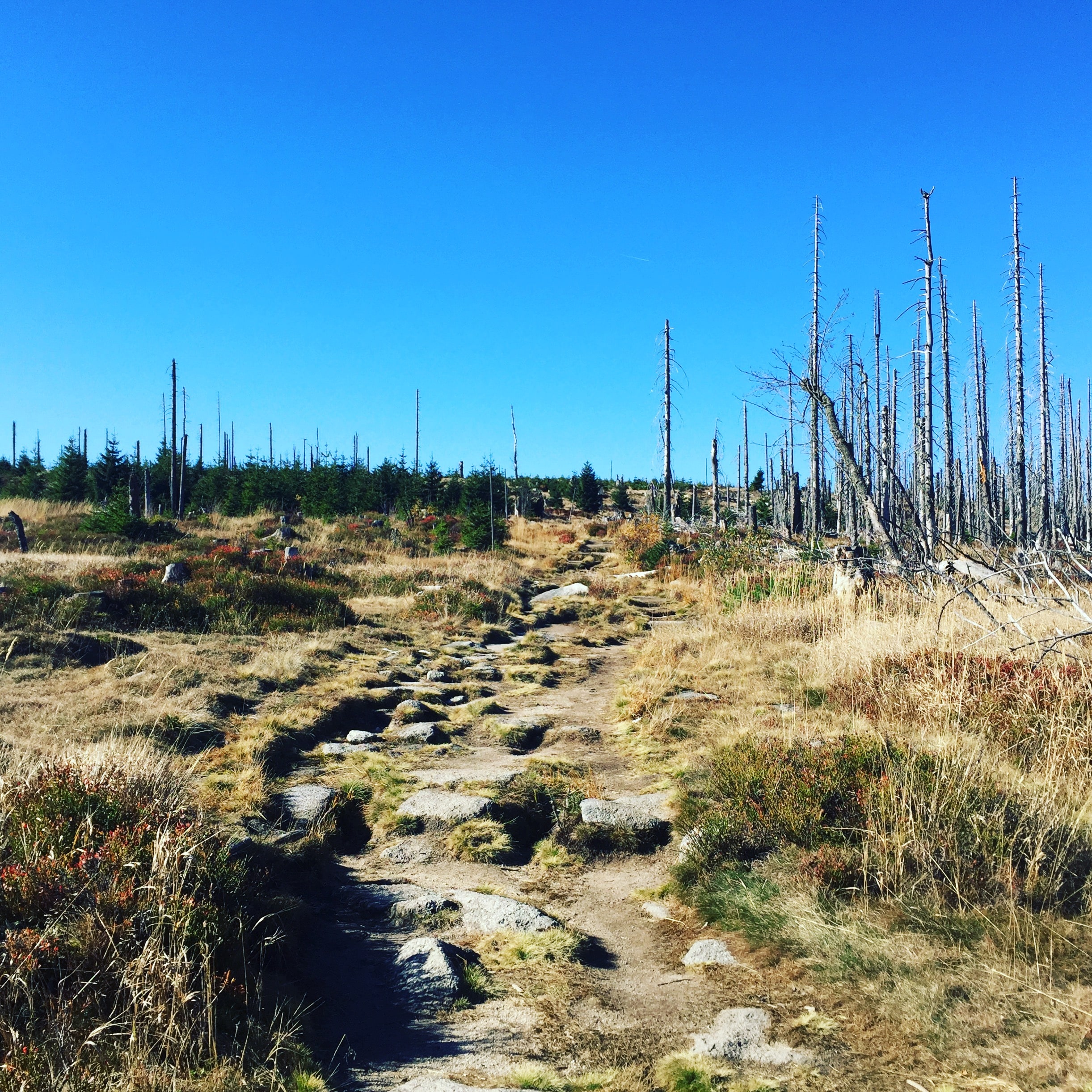 Herbstwochenende im Böhmerwald – zwischen Erwartung und Wirklichkeit
