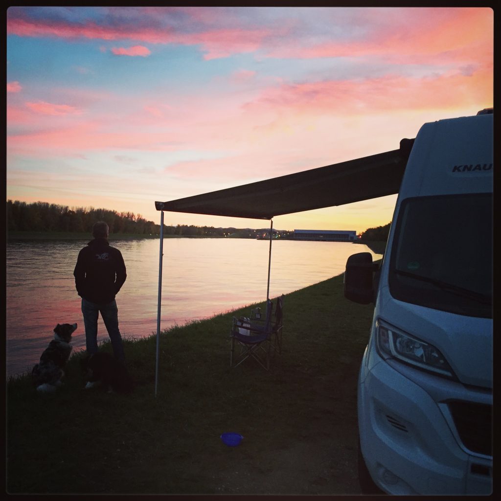 IMG_3102 Campingbus Kastenwagen Knaus Rhein Hunde Camping