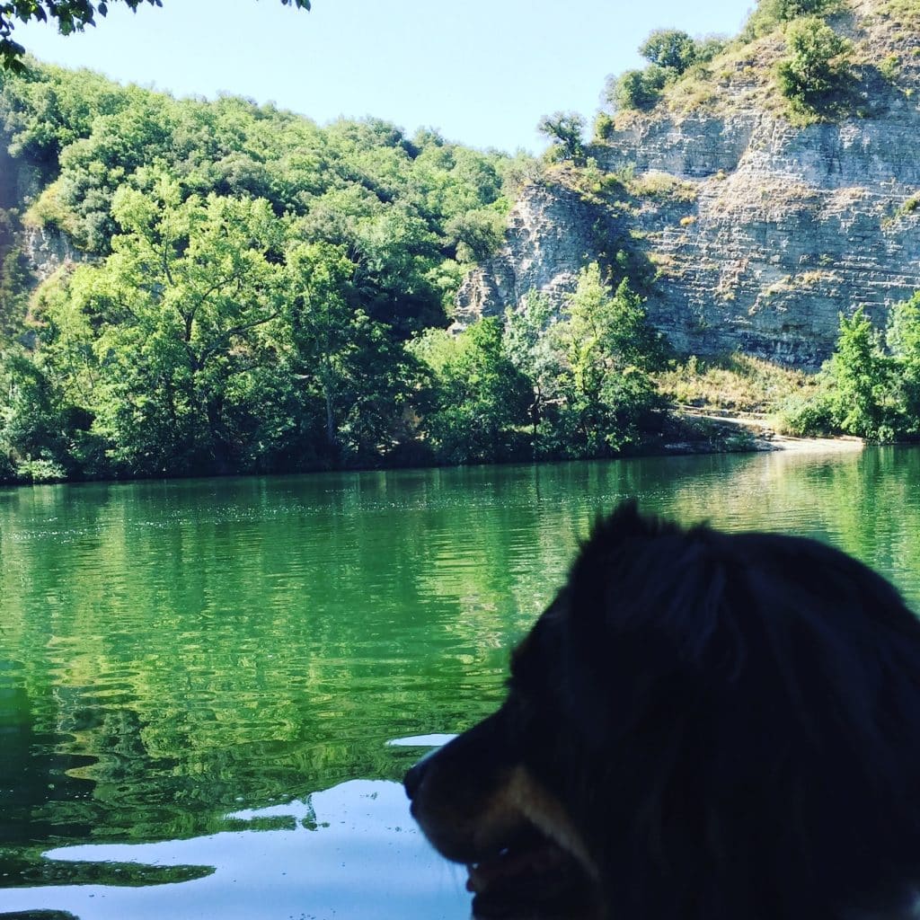 IMG_8293 Ardeche Hund Camping Kanu