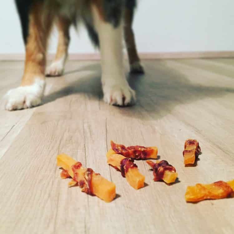süßkartoffel hund 4yourpet