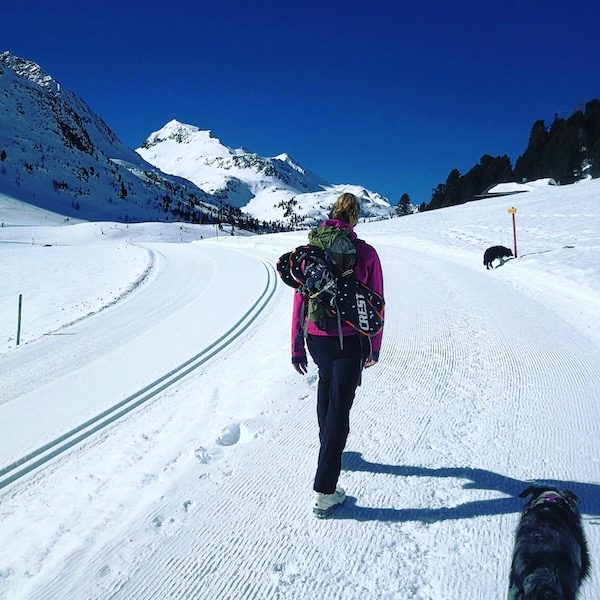 Osttirol Osttirol Defreggental Staller Sattel Wintercamping Schneeschuhe Hund