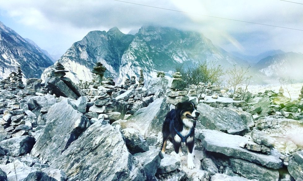 Gardasee_Hund Gardasee Torbole Wandern Hund Camping Februar