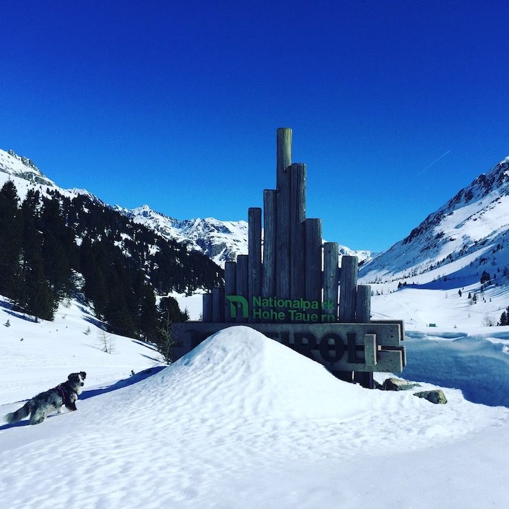 Osttirol Osttirol Defreggental Staller Sattel Wintercamping Schneeschuhwandern Hund