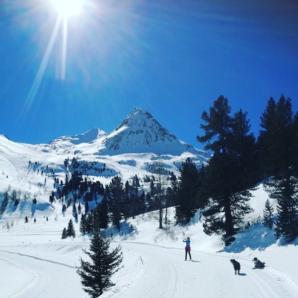 Osttirol Osttirol Staller Sattel Defreggental Schneeschuhwandern Wintercamping Hund