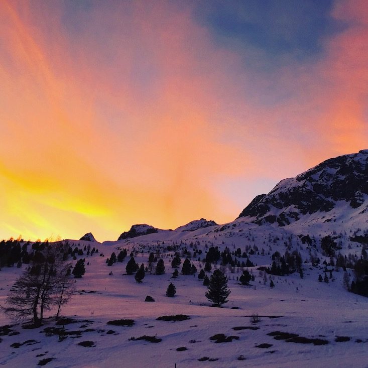 Osttirol Osttirol Defreggental Staller Sattel Wintercamping Hund Schneeschuhwandern