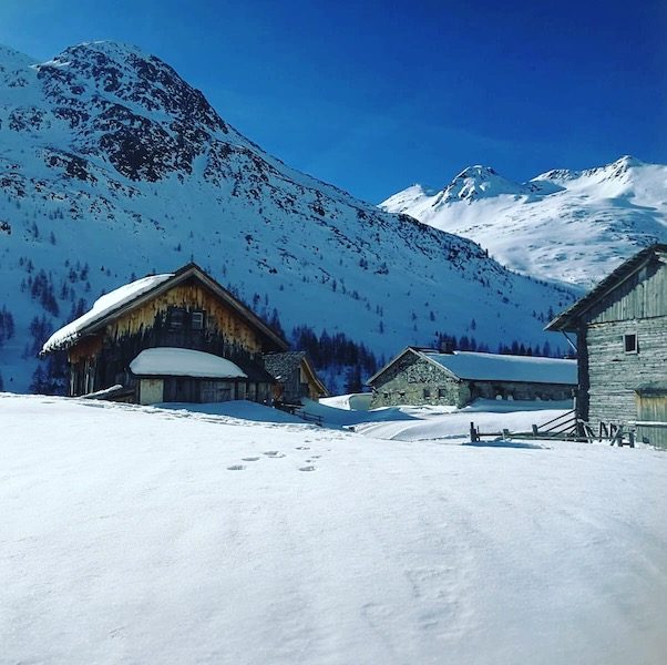 Osttirol Osttirol Defreggental Staller Sattel Wintercamping Hund Schneeschuhe