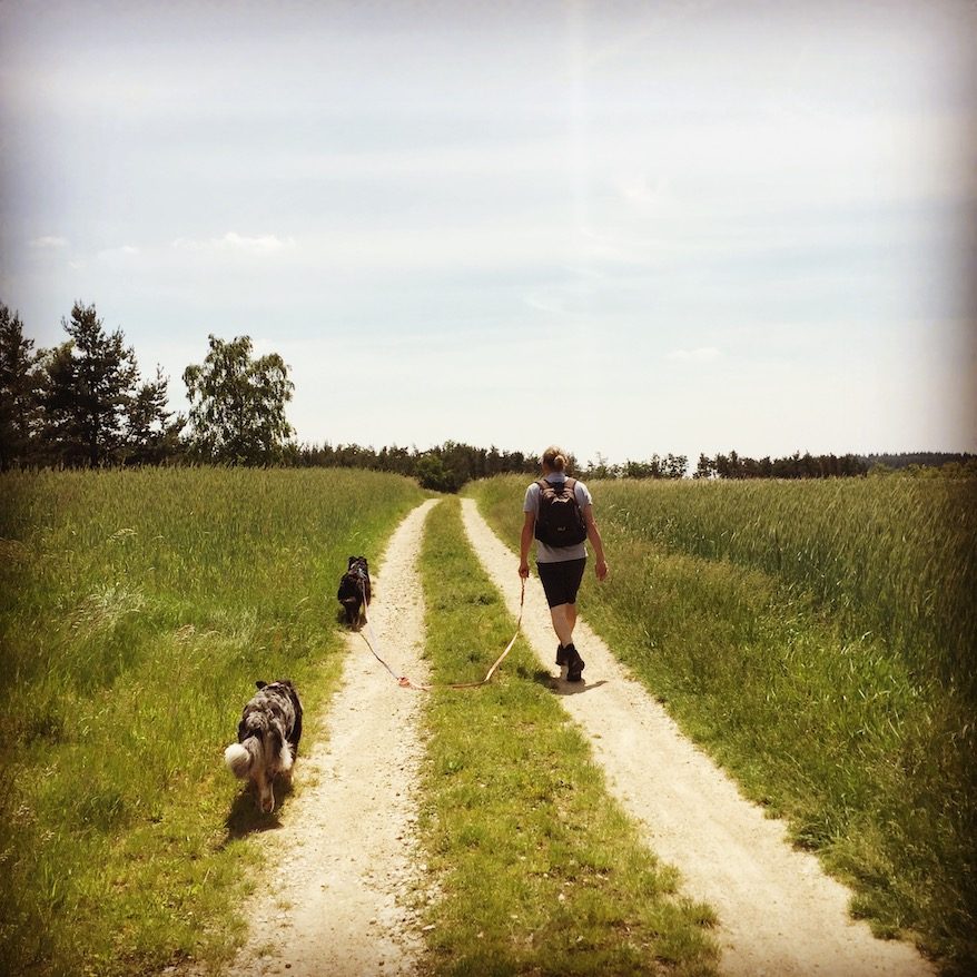 Hundemensch Hund Camping Wohnmobil Liebe