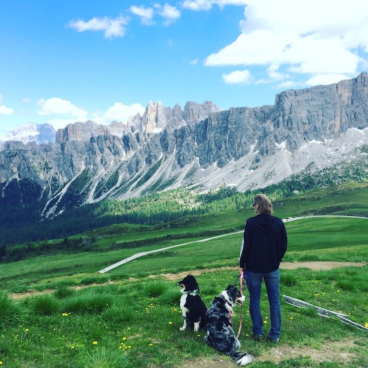 Passstraßen Dolomiten hund Camping Radfahrer Passstraße