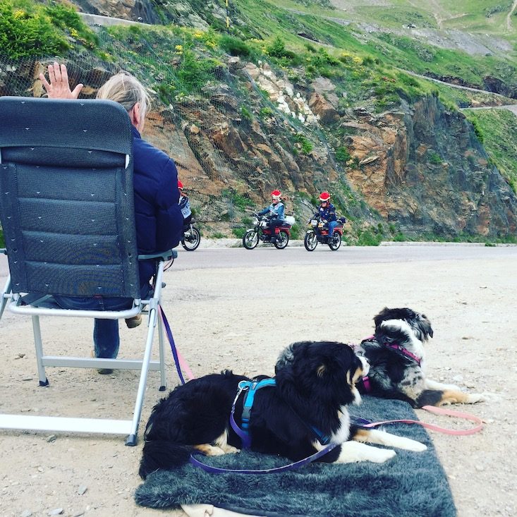 Passstraße Mopedmarathon Ötztal Hund Camping Pass Pässe Passstraße Radfahrer