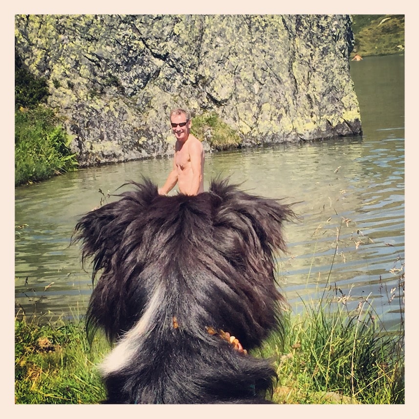 Hundemenschen kennenlernen