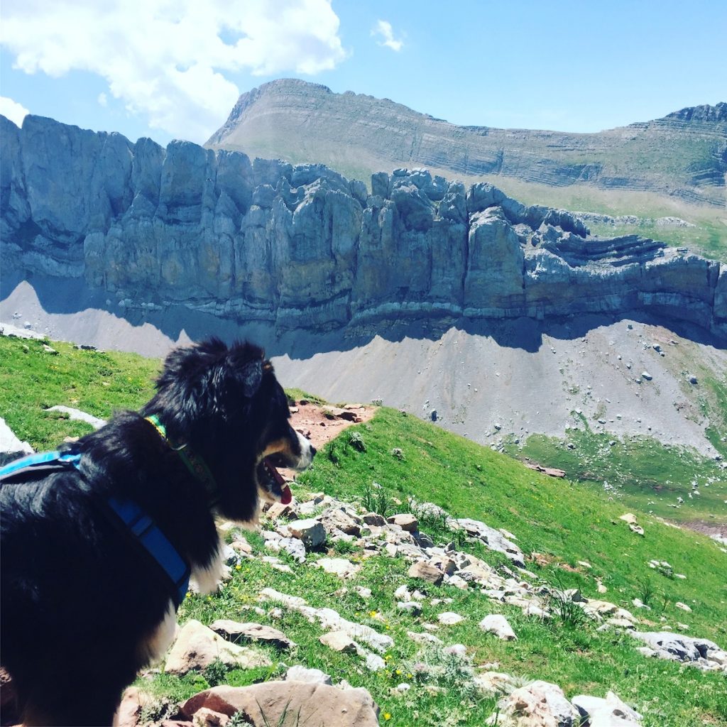 Castillo d'Acher Castillo d'acher Hecho-Tal Hund Wanderung