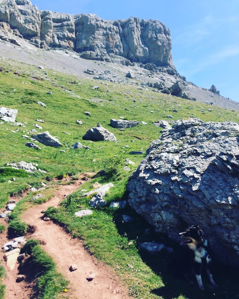 Castillo d'Acher Castillo d'acher Hecho-Tal Hund Wanderung