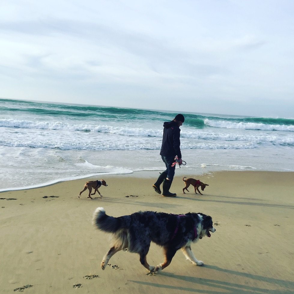 Atlantik_Hund Hund camping Frankreich Aquitanien Atlantik