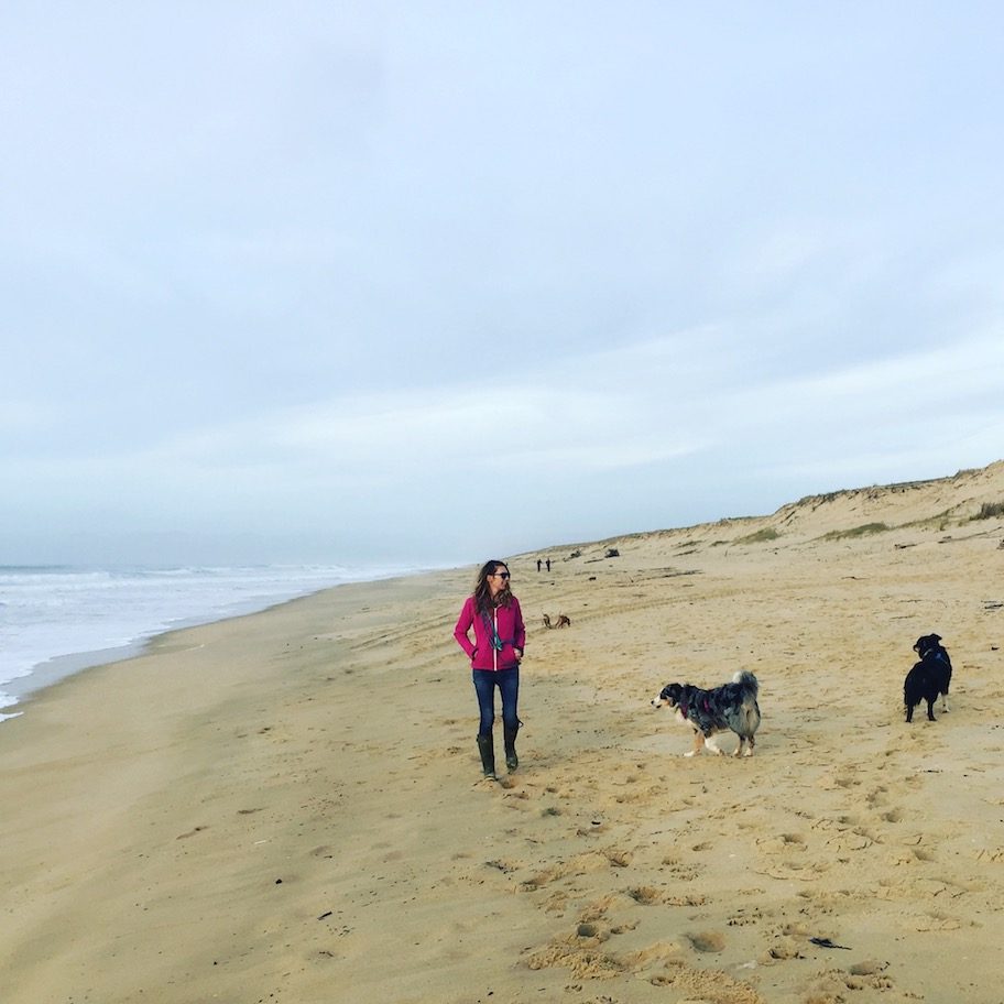 Aquitanien Hund camping Frankreich Aquitanien