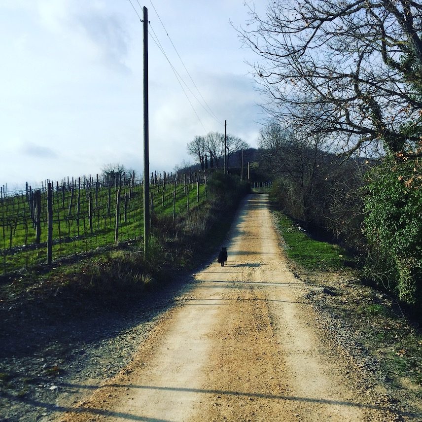 Wanderung_Umbrien Umbrien Wanderung Hunde Camper Italien
