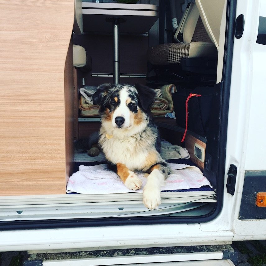 Camping_Hund Umbrien wandern Hund Wohnmobil hundetauglich Italien