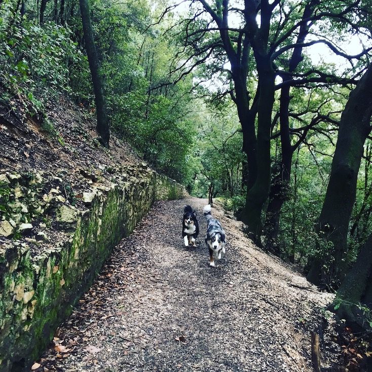 Wanderung_Umbrien hunde Umbrien Italien wandern Wohnmobil