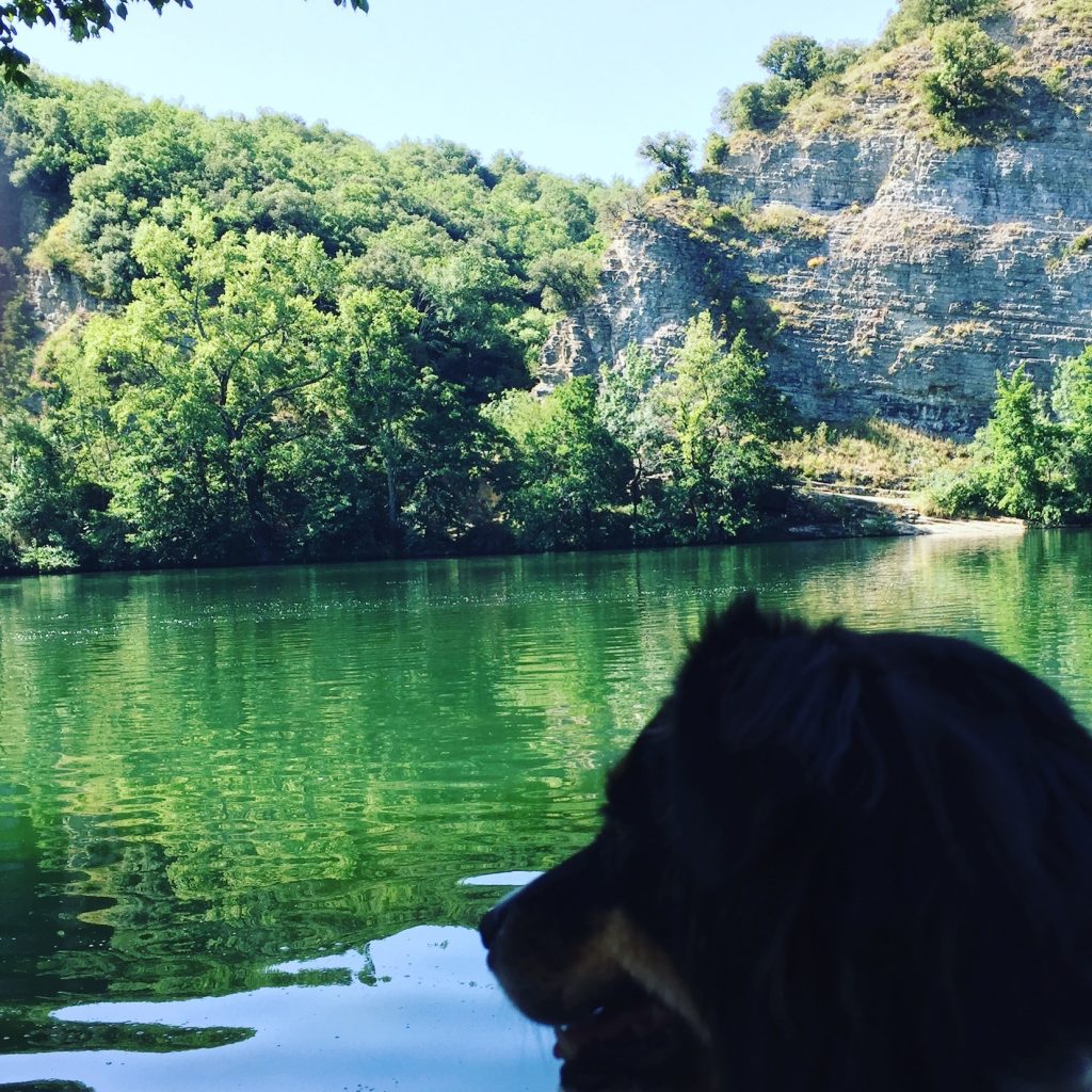 Ardèche Ardèche Hunde Kanu Fluss Frankreich