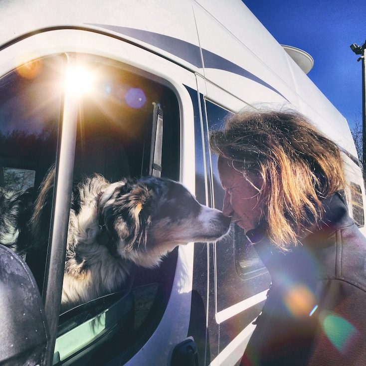 Camping_Hund Gardasee Camping Hund Torbole Australian Shepherd Wandern Hund
