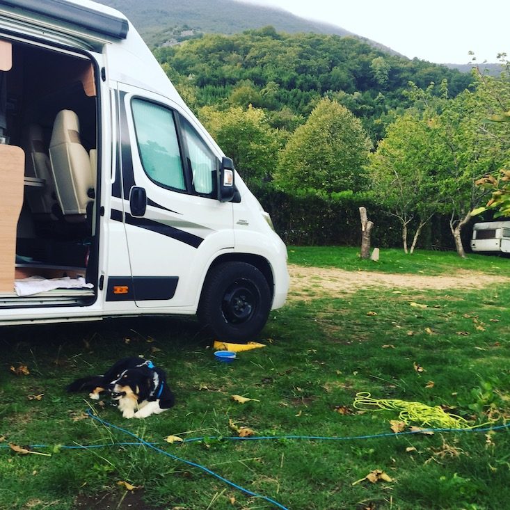 Kotor Kotor Montenegro Hund Camping Wohnmobil Kamp Todorovic