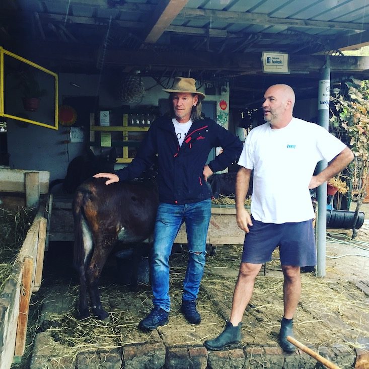 Montenegro Montenegro Farma Magaraca Martinici Camping Wohnmobil Hund Eselfarm