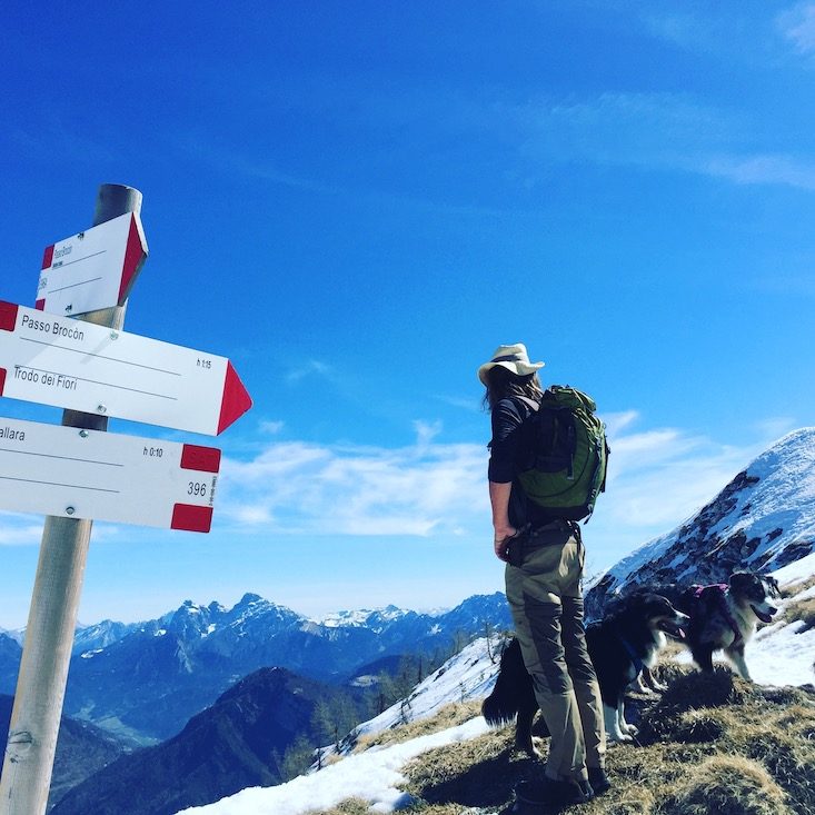Passo Brocon Passo Brecon Lagorai Trentino wandern Hund col della Boia Camping