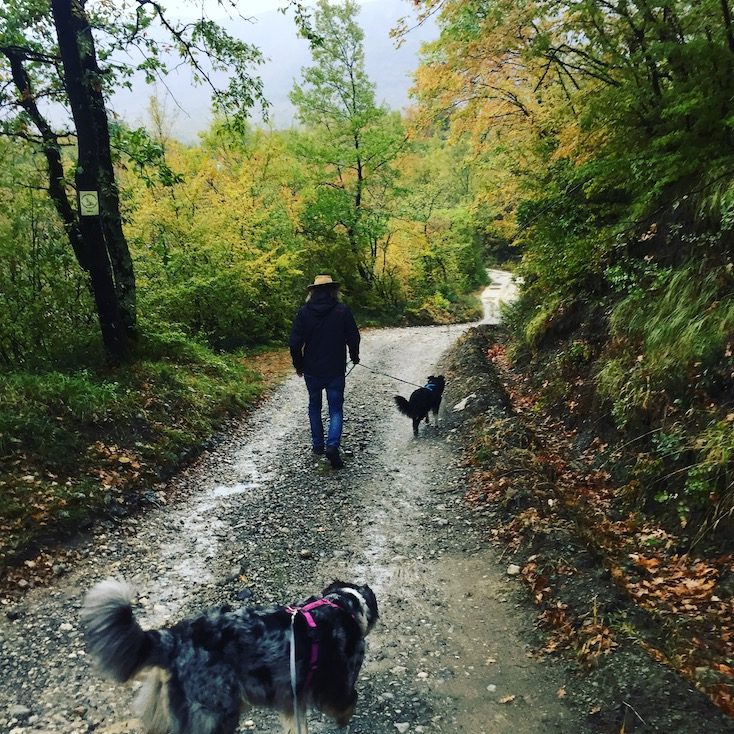 Farma Magaraca Martinici Montenegro Hund Camper Camping Wohnmobil