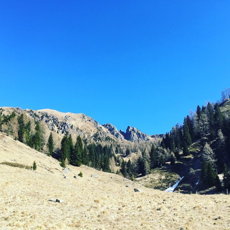 Passo Brocon Passo Brecon Lagorai Wandern Hund Trentino Camping