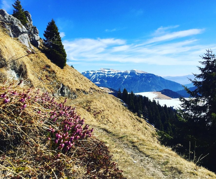 Passo Brocon Passo Brecon Trentino Wanderung Hund Camping Lagorai