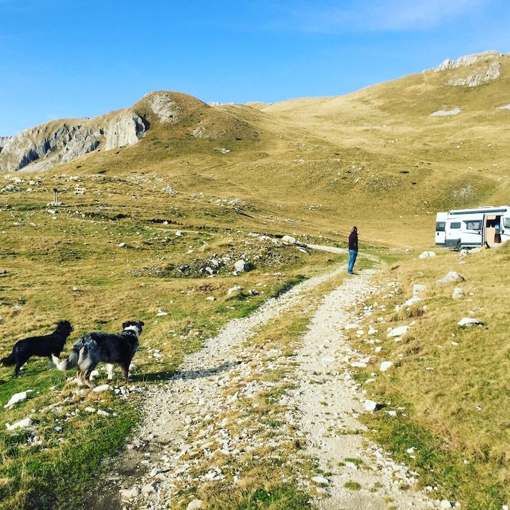 Montenegro Montenegro Durmitor Camping Wohnmobil Hund Kontraste