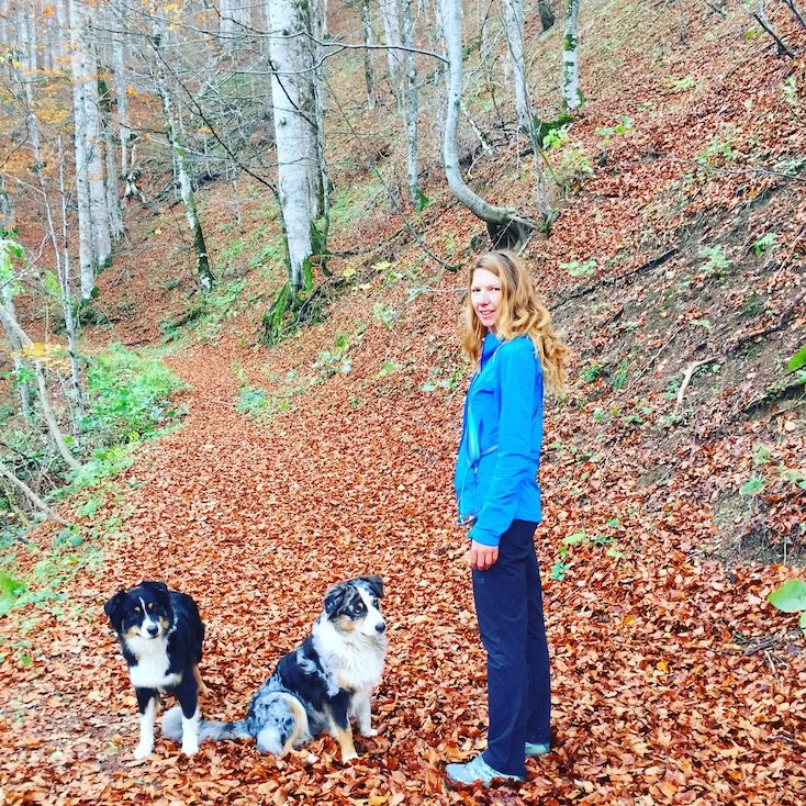 Montenegro Montenegro Biogradska Gora Hund Camping Wohnmobil wandern Kontraste