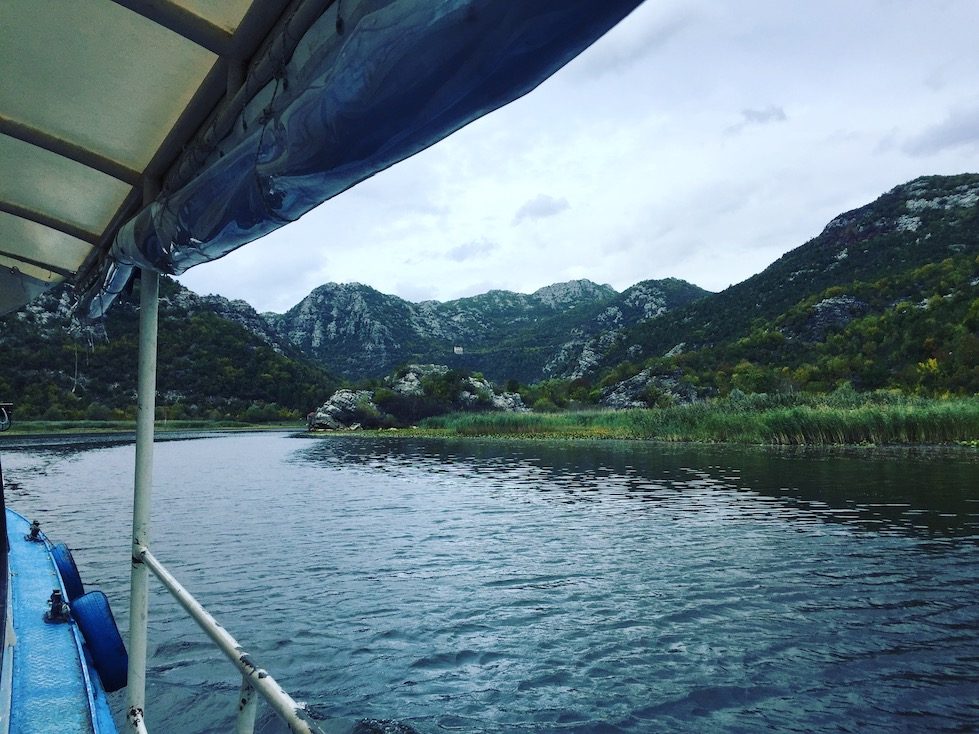 Montenegro Montenegro Skutarisee Kontraste Vogelreservat Wohnmobil Bootsfahrt Hund