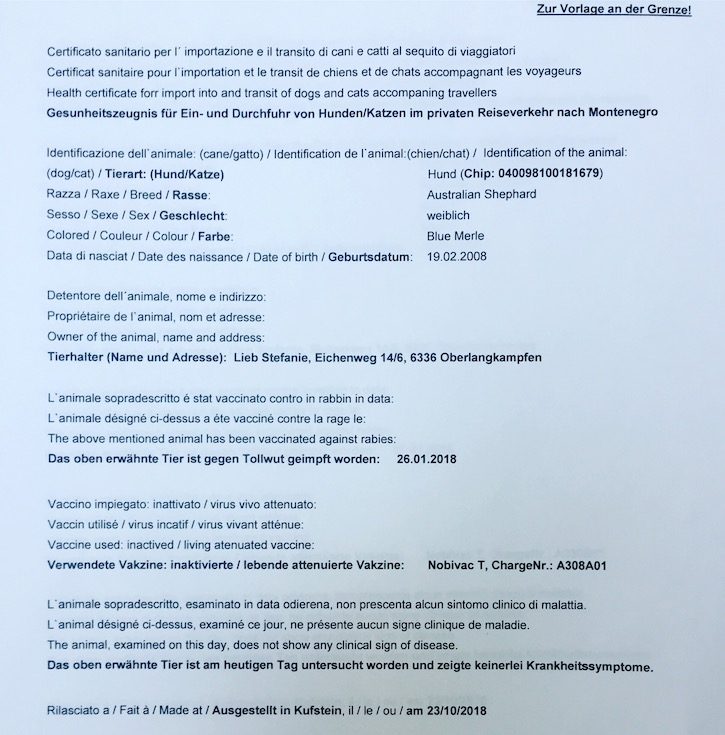 Montenegro Gesundheitszeugnis Amtsveterinär Reise