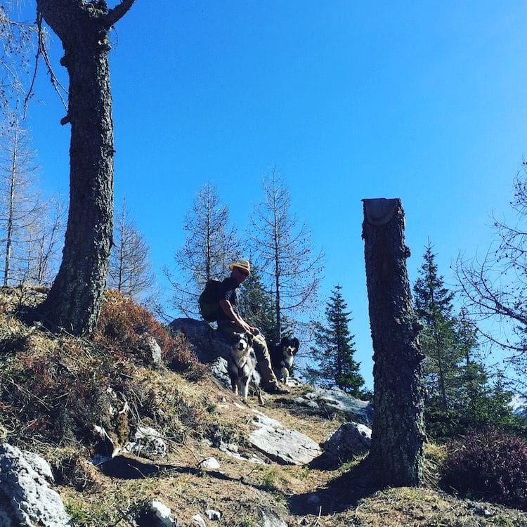 Passo Brocon Passo Brocon Monte Timoncello Lagorai Trentino Hund Camping Wanderung