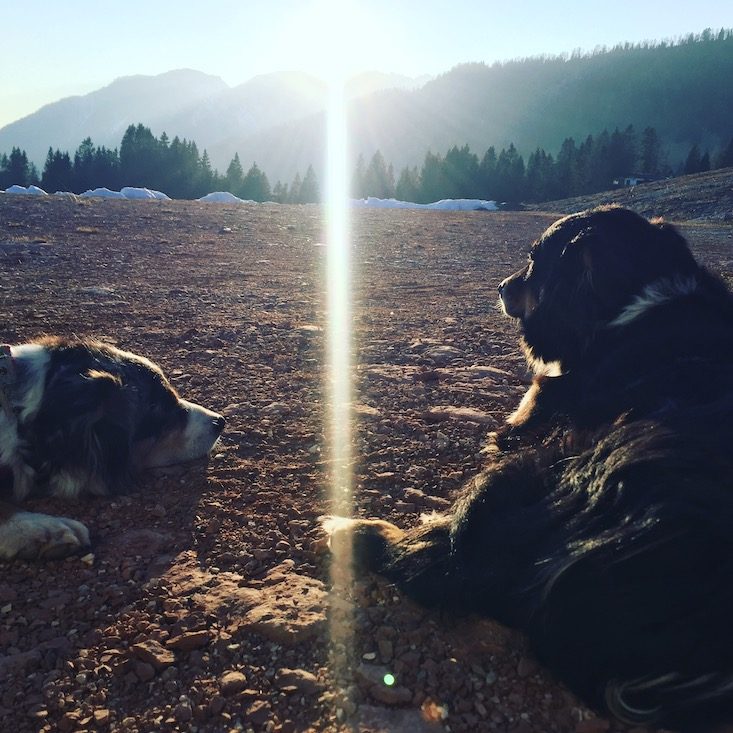 Passo Brocon Passo Brecon Lagorai Trentino Ostalpen Camping wandern Hund