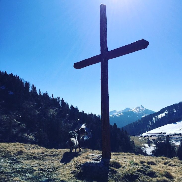 Passo Brocon Passo Brocon Lagorai Monte Timoncello Trentino Hund wohnmobil camping wandern