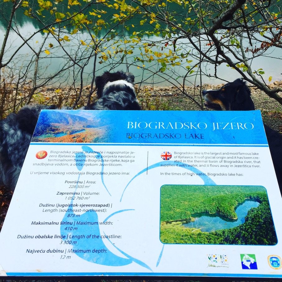 Biogradsko Jezero Biogradsko Jezero Biogradska Gora Rundwanderung Nationalpark Hund Camping