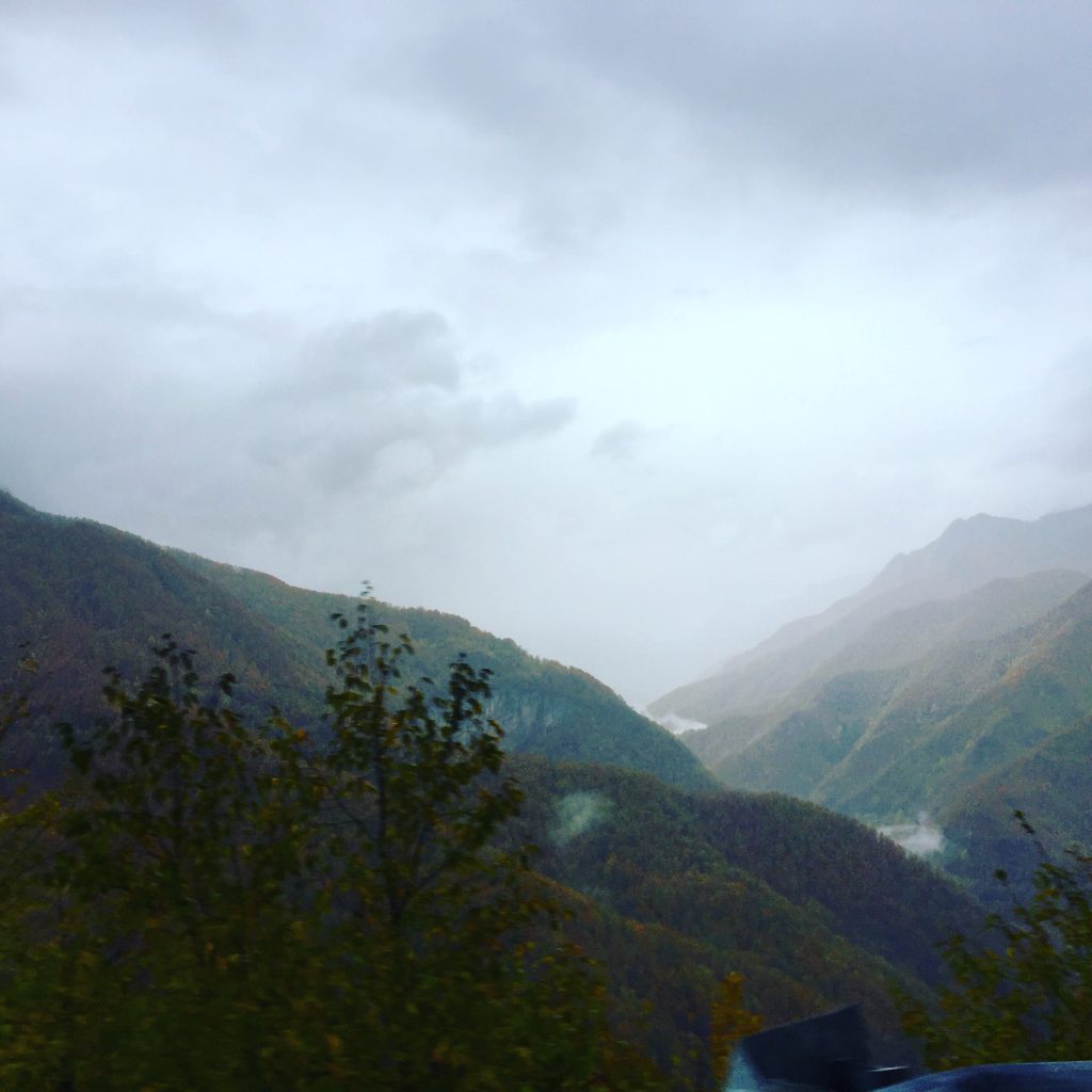 Biogradska Gora Montenegro Biogradska Gora Camping Wohnmobil Wandern hund