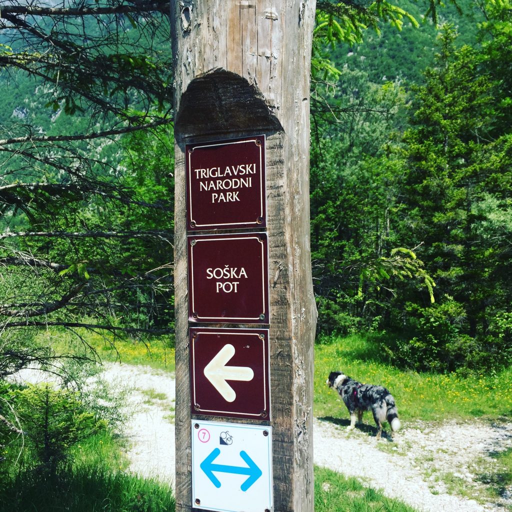 Soča Triglav Nationalpark wandern hund Slowenien soska pot