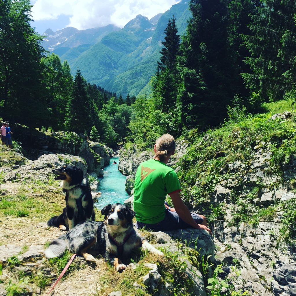 Soca Tal Soca Tal wandern Wanderung Hund Triglav Nationalpark