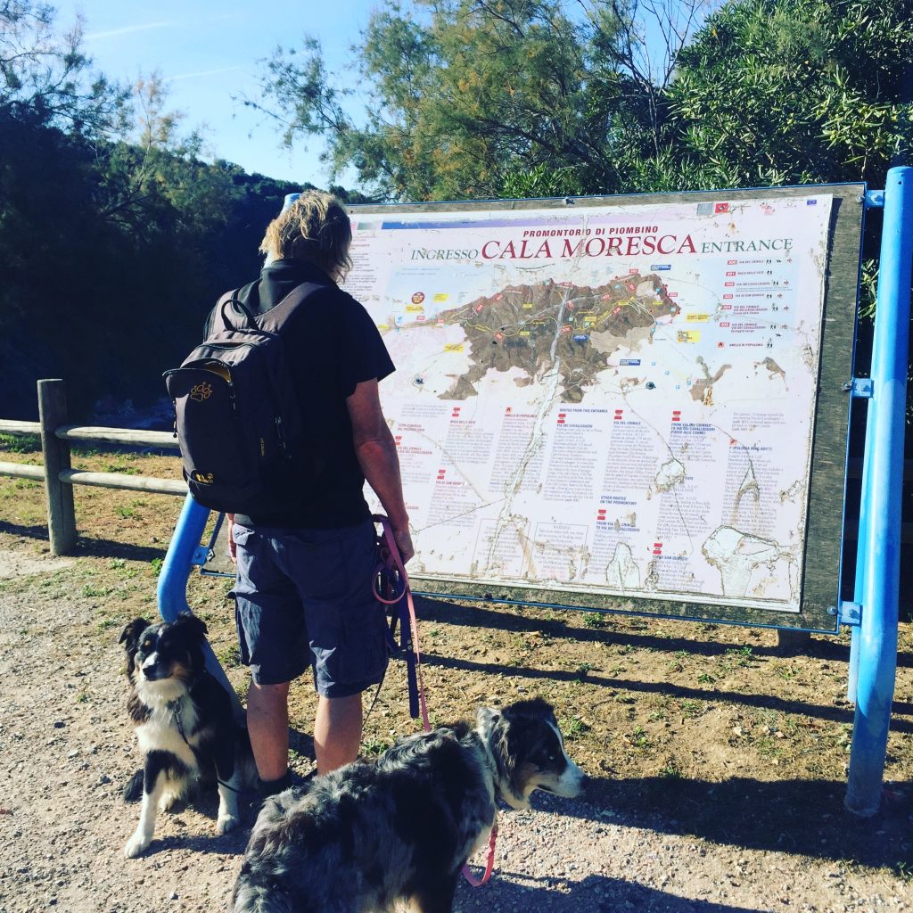 Toskana Toskana Hundestrand Wanderung Camping Hund Wohnmobil Italien