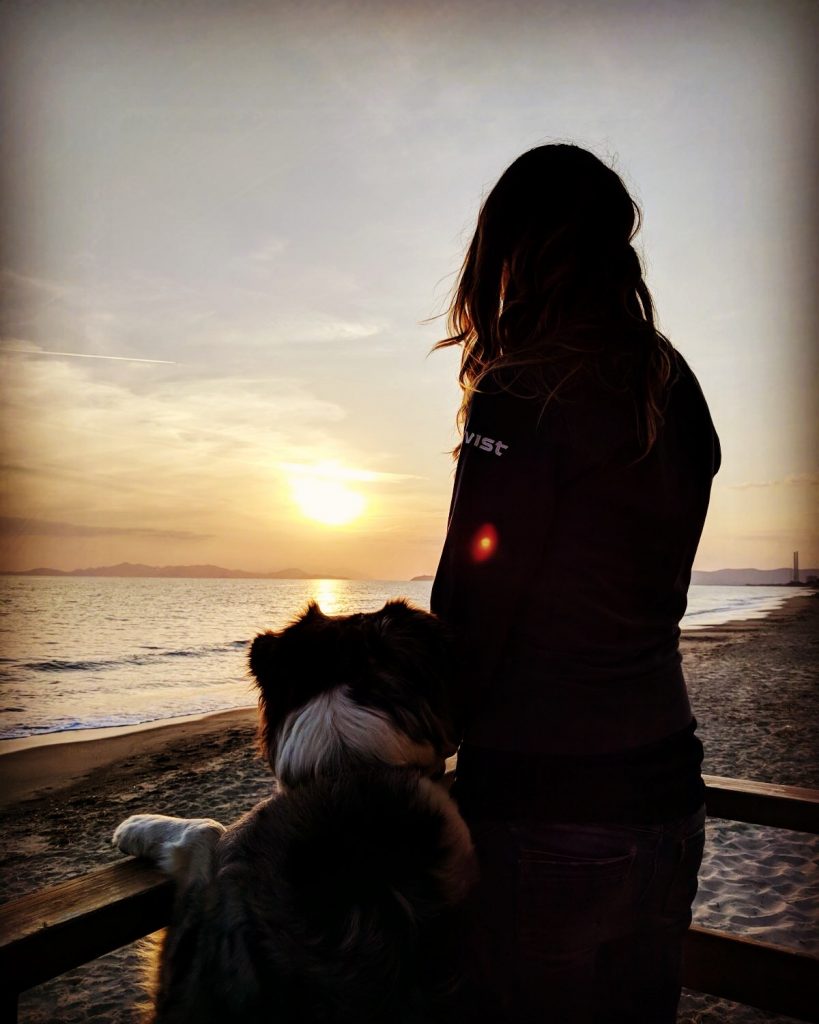 Hundestrand Toskana Hundestrand Wanderung Camping Hund Wohnmobil Italien