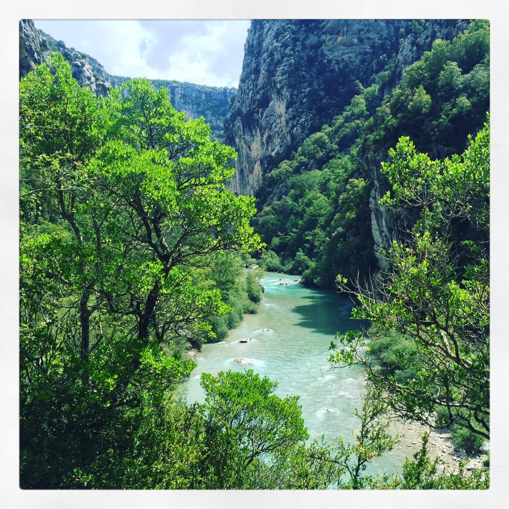 Verdon Schlucht Gorges du Verdon Hund Wandern