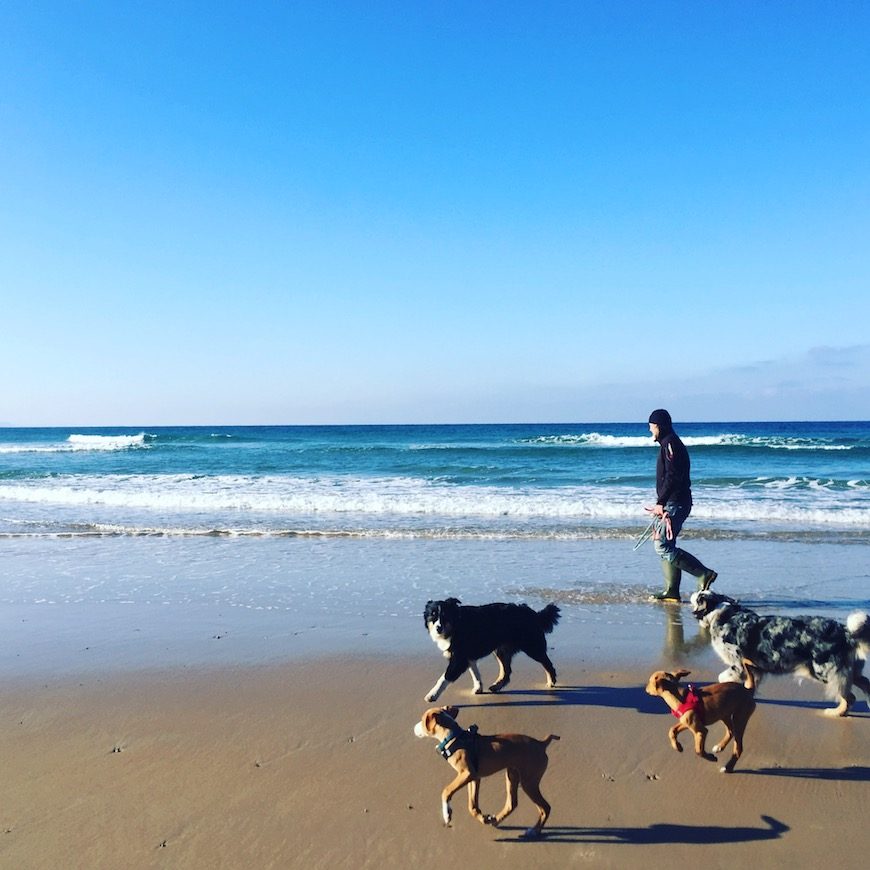Atlantik_Hund Hund camping Nordspanien Asturien Kantabrien