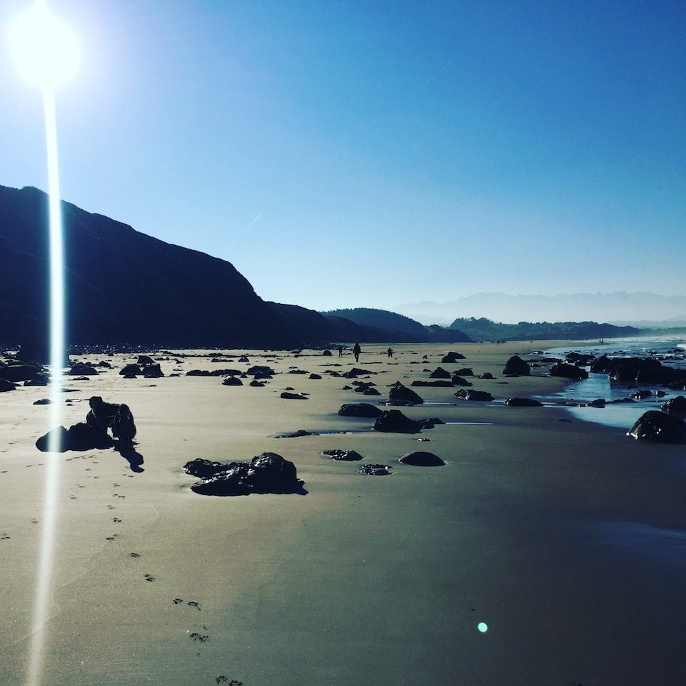 Kantabrien Spanien Hund camping Nordspanien Asturien Kantabrien