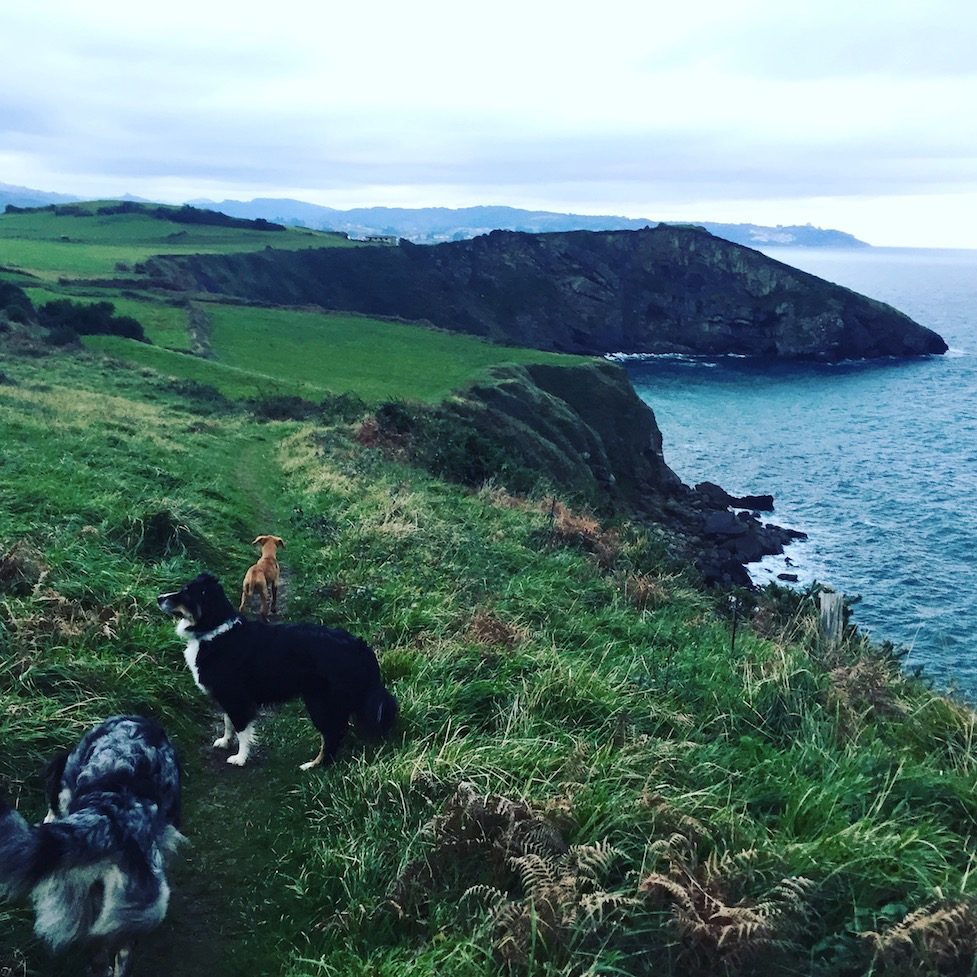 Mar Cantabrico Hunde Hund camping mar Cantábrico Nordspanien Asturien Kantabrien