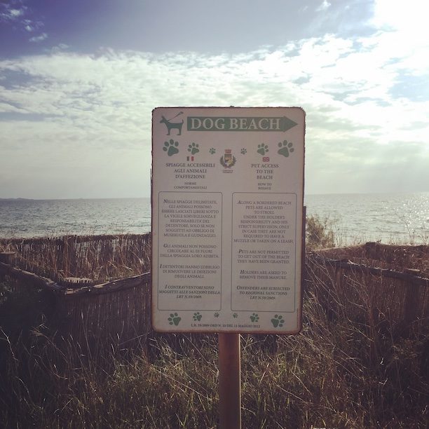 Hundestrand Toskana Hundestrand Wanderung Camping Hund Wohnmobil Italien